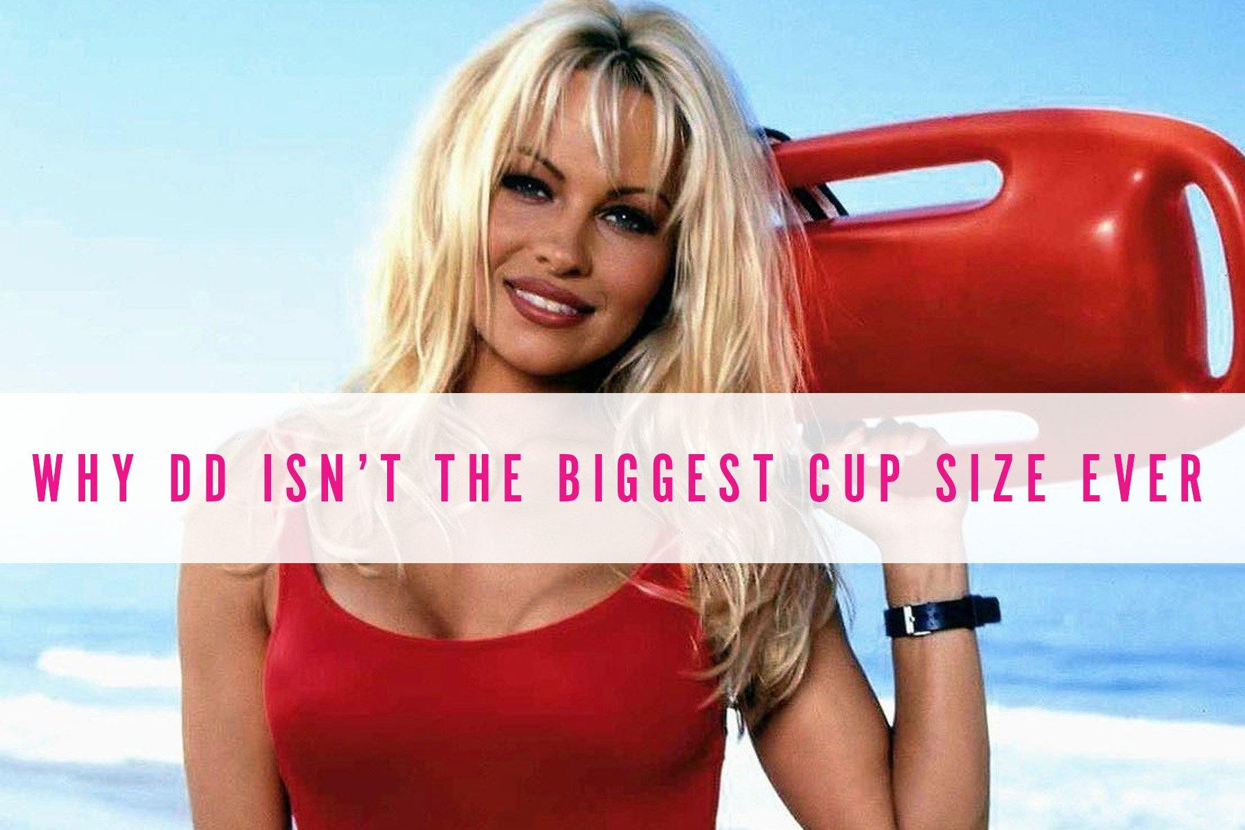 Why DD isn’t the biggest size cup size ever.