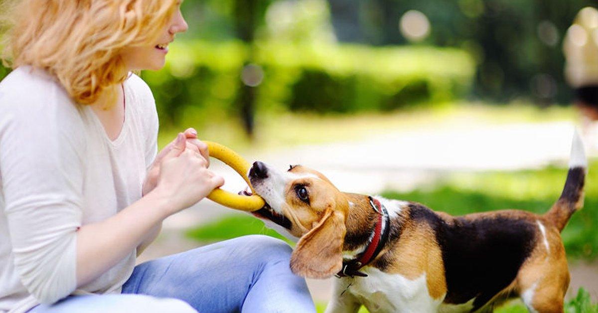 Do you put on a bra to walk your dog?