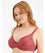 Berlei Barely There Lace Contour Bra - Copper Rouge Bras 