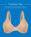 Bestform Unlined Cotton Stretch T-Shirt Bra with Underwire 3 Pack - Sand Bras 