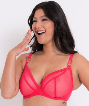 Angelina bras size 38B BLUEWATER  Hot pink bra, Bra sizes, Green bras