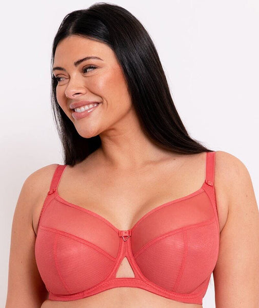 Orange Bras - Shop Stylish Bras in Orange Hues Online - Curvy