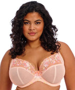 Elomi Himari Underwired Plunge Bra - Peach Whisper Bras 