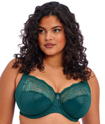 Elomi Morgan Underwired Bra - Deep Teal Bras 