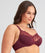 Fayreform Coral Underwire Bra - 2 Pack - Windsor Wine/Egret Bras 