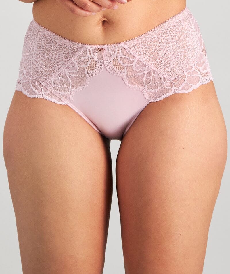 Fayreform Midnight Express Full Brief - Winsome Orchid Knickers 