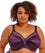 Goddess Keira Underwired Banded Bra - Blackberry Bras 