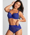 Panache Envy Full Cup Underwire Bra - Indigo Bras 