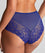 Panache Envy Deep Brief - Indigo Knickers 