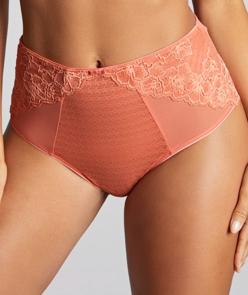 Panache Envy Deep Brief - Terracotta Knickers 