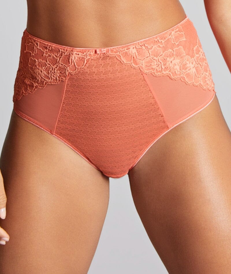 Panache Envy Deep Brief - Terracotta Knickers 