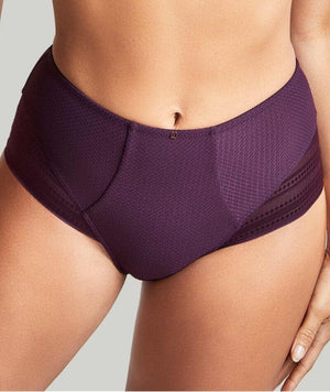 Panache Serene High Waist Brief - Aubergine Knickers 