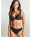 Panache Swimwear Spirit Classic Pant - Black Swim 