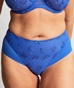 Panache Tango Deep Brief - Cobalt Knickers 