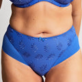 Panache Tango Deep Brief - Cobalt