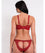 Scantilly Key to My Heart Padded Half Cup Bra - Rouge Bras 