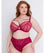 Scantilly Senses Plunge Bra - Cherry Purple Bras 