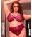 Scantilly Senses Plunge Bra - Cherry Purple Bras 