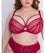 Scantilly Senses Plunge Bra - Cherry Purple Bras 