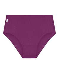 Sloggi Hikini 2 Pack Brief - Violet - Dark Combination Knickers 