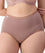 Sloggi Maxi Brief 2 Pack - Riviera/Cacao Knickers 