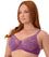 Triumph Lacy Minimizer 2 Pack Bra - Nuit/Amethyst Bras 