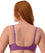 Triumph Lacy Minimizer 2 Pack Bra - Nuit/Amethyst Bras 