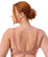 Triumph Lacy Minimizer 2 Pack Bra - Toasted Almond\Cherry Rose Bras 