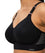 Triumph Triaction Hybrid Lite Wire-free Sports Bra - Black Bras 