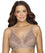 Exquisite Form Fully Front Close Posture Bra With Lace - Walnut Bras 