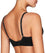 Bendon Body Seamfree Contour Bra - Black Bras 