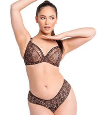 Curvy Kate Lifestyle Short - Animal Print Knickers 