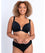 Curvy Kate Superplunge Kiss Padded Plunge Bra - Black Bras 