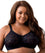 Elila Embroidered Lace Non-Underwired Bra - Black Bras 14D Black 