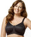 Elila Molded Spacer Non-Underwired Bra - Black Bras 14D Black 