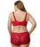 Elila Cheeky Stretch Lace Brief - Red Knickers 