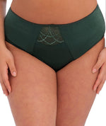 Elomi Cate Full Brief - Pinegrove Knickers 