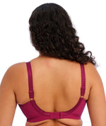 Elomi Cate Soft Cup Wire-free Bra - Berry Bras 