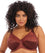 Elomi Cate Underwired Full Cup Banded Bra - Dark Copper Bras 