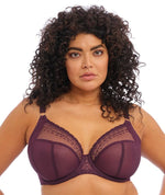 Elomi Matilda Underwired Plunge Bra - Wine Diamond Bras 