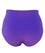 Lady Emprezz Frenchie High Waist Brief - Purple/Aqua Knickers 