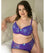 Lady Emprezz Frenchie Padded Shaping Bra - Purple/Aqua Bras 