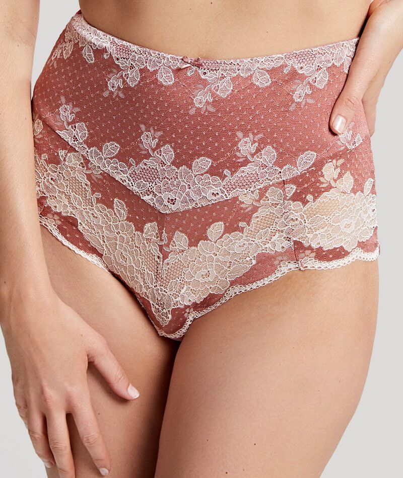 Panache Clara High Waist Brief - Sienna Knickers 