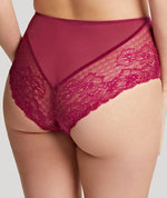 Panache Envy Deep Brief - Orchid Knickers 