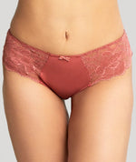 Panache Rocha Brief - Garnet Rose Knickers 