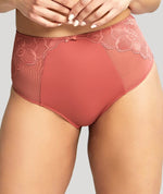 Panache Rocha Deep Brief - Garnet Rose Knickers 