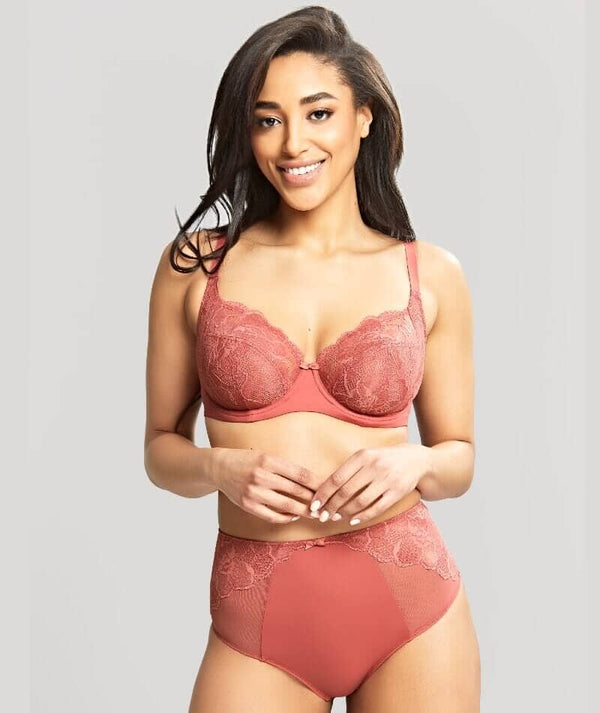 Panache Rocha Brief - Garnet Rose - Curvy