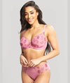 Panache Tango Brief - Rose Knickers