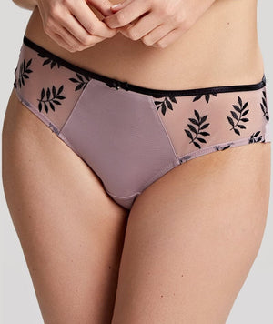 Panache Tango Brief - Equinox Knickers 