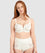 Sans Complexe Ariane Lace & Microfiber High Waist Brief - Ivory Knickers 